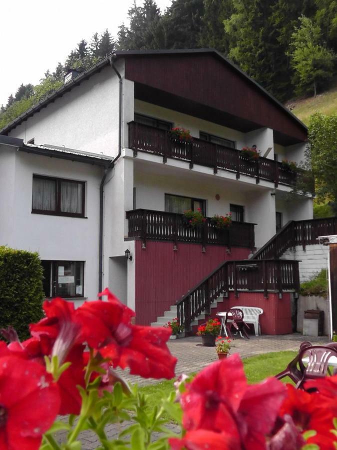 Pension Zum Ritter Katzhutte Exterior photo