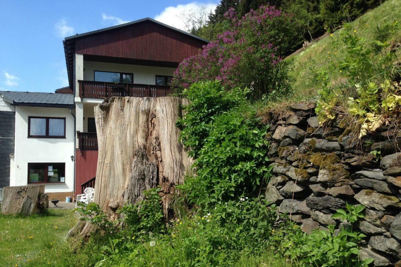 Pension Zum Ritter Katzhutte Exterior photo