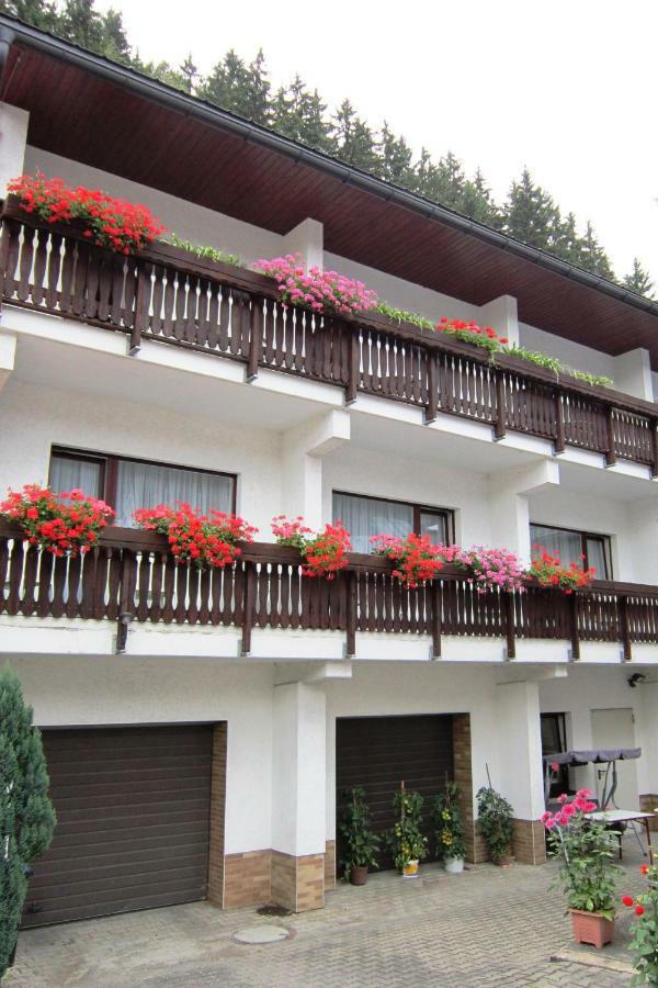 Pension Zum Ritter Katzhutte Exterior photo